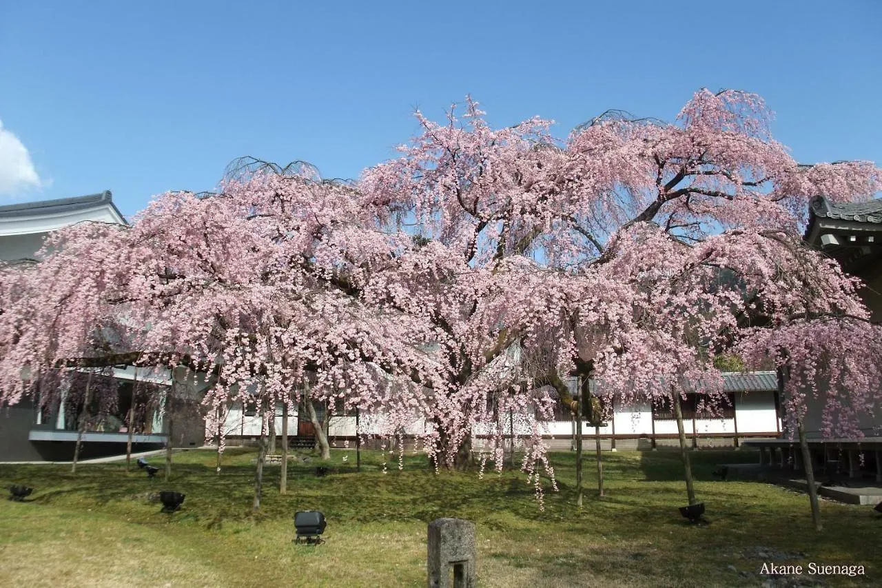 Kyoto Home Higashikujo 펜션